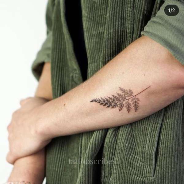 fern tattoo meaning