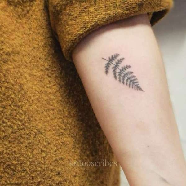 fern tattoo meaning