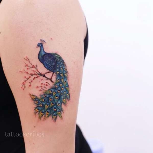 peacock tattoo meaning