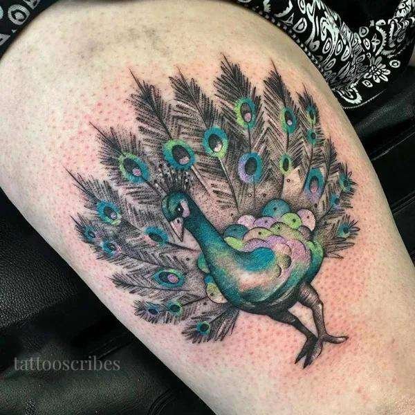 peacock tattoo meaning