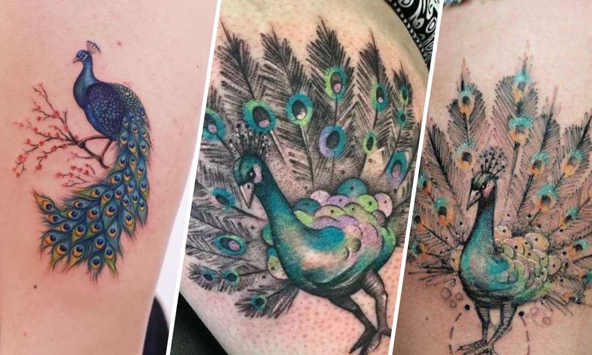 Unlock the Hidden Symbolism in Peacock Tattoos (6 Essential Points)