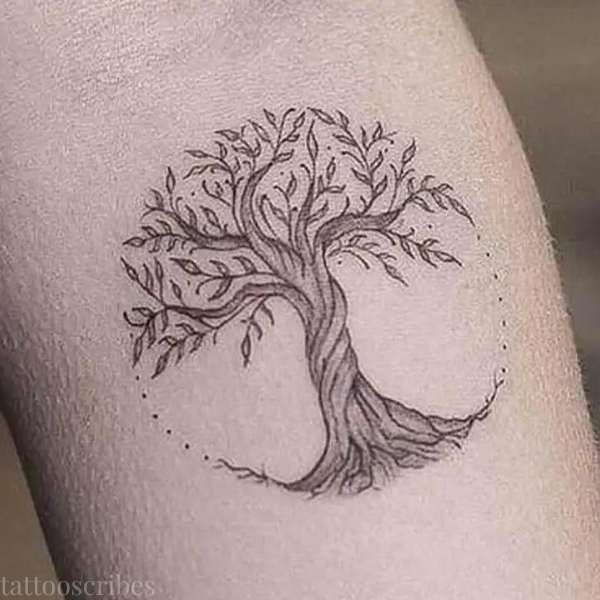 the tree of life tattoo meaning