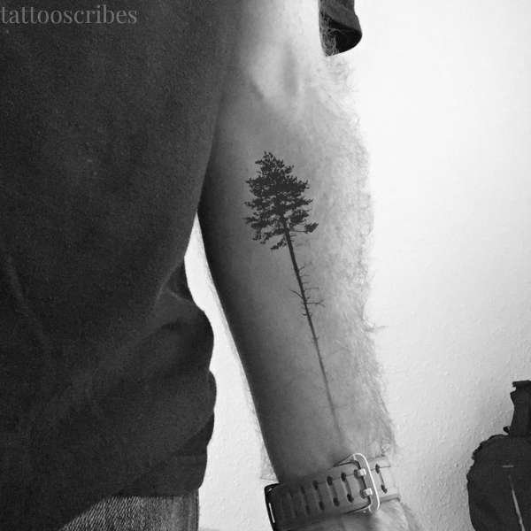 tree tattoo meaning