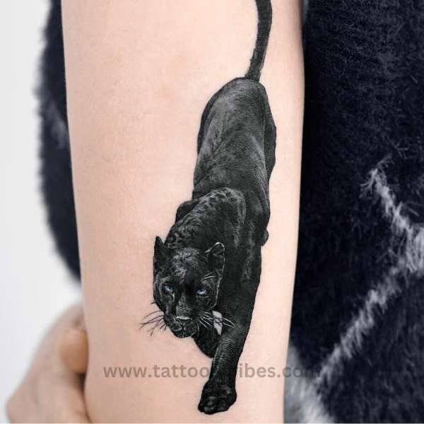 black jaguar tattoo meaning