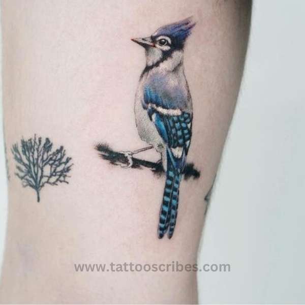 blue jay tattoo meaning