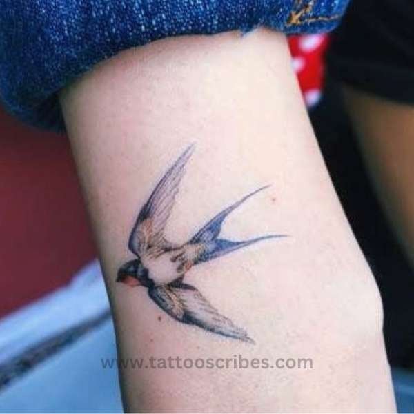 blue jay tattoo meaning