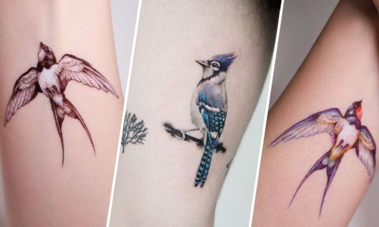 blue jay tattoo meaning