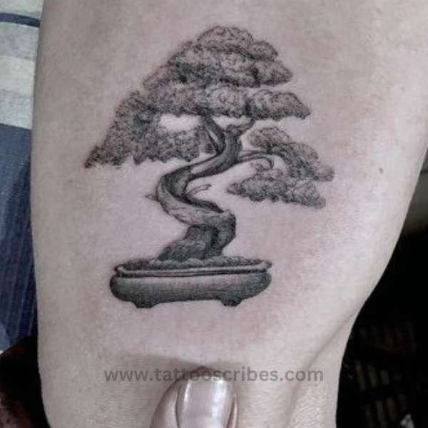 bonsai tree tattoo meaning