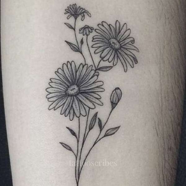 daisy flower tattoos meaning