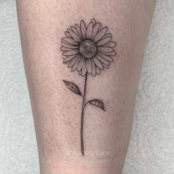 daisy flower tattoos meaning