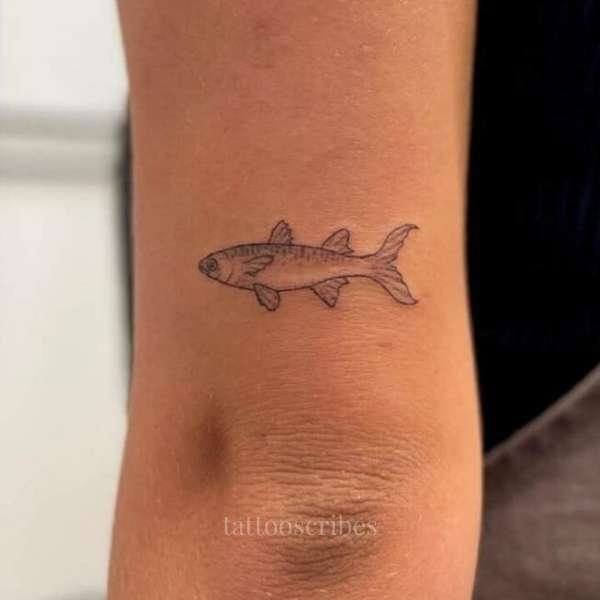 fish tattoo meaning