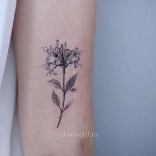 honeysuckle tattoo meaning