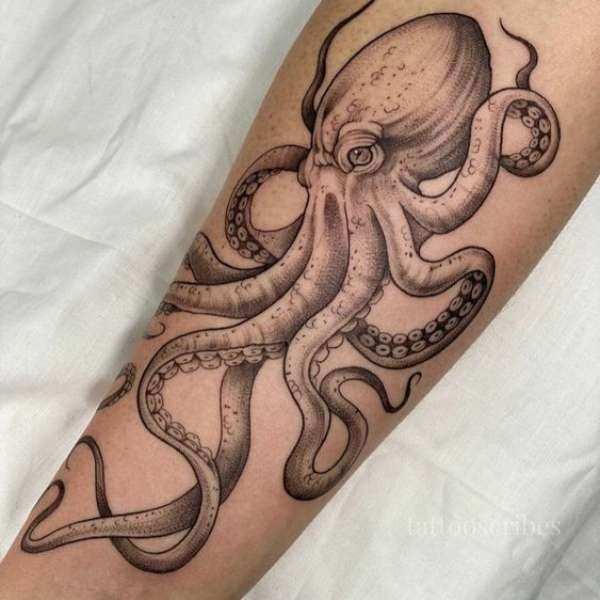 Octopus Tattoos Meaning Unlock The Secrets Of Creativity