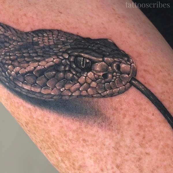 rattlesnake tattoo meaning