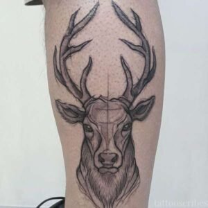 Unlock the True Meaning of Stag Tattoos (5 Amazing Discoveries)