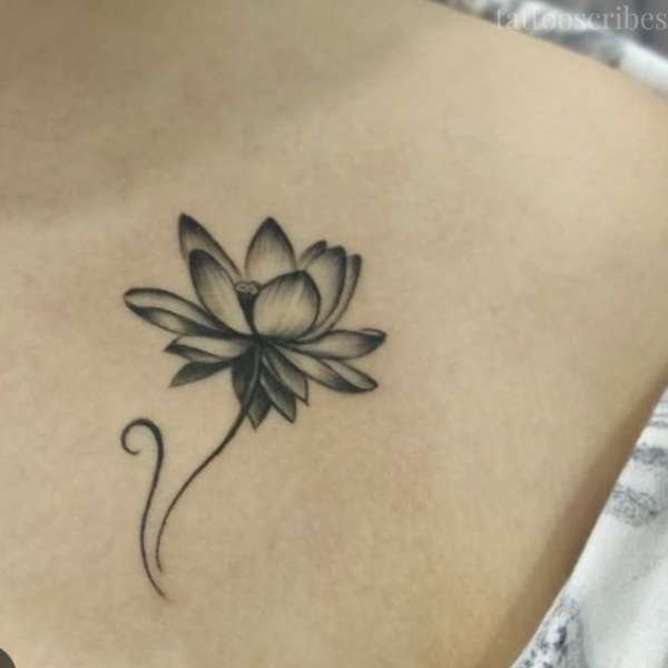 water lily tattoo meaning