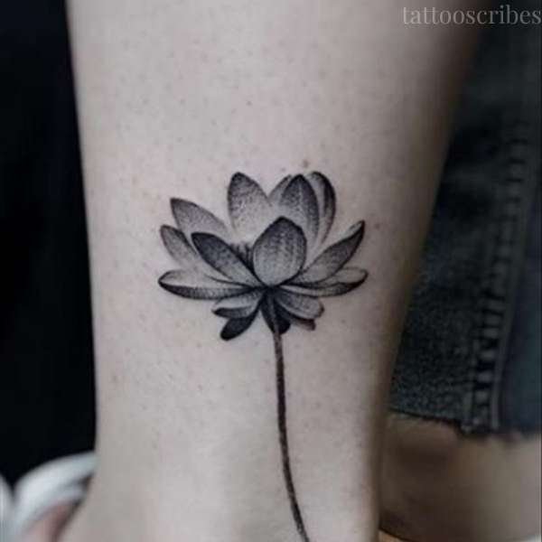 water lily tattoo meaning